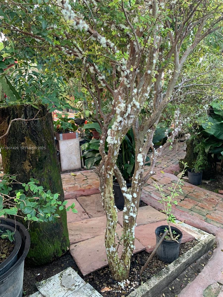 10955 Southwest 56th Street Miami, FL 33165 - Photo 25 of 39 a garden view with a seating space