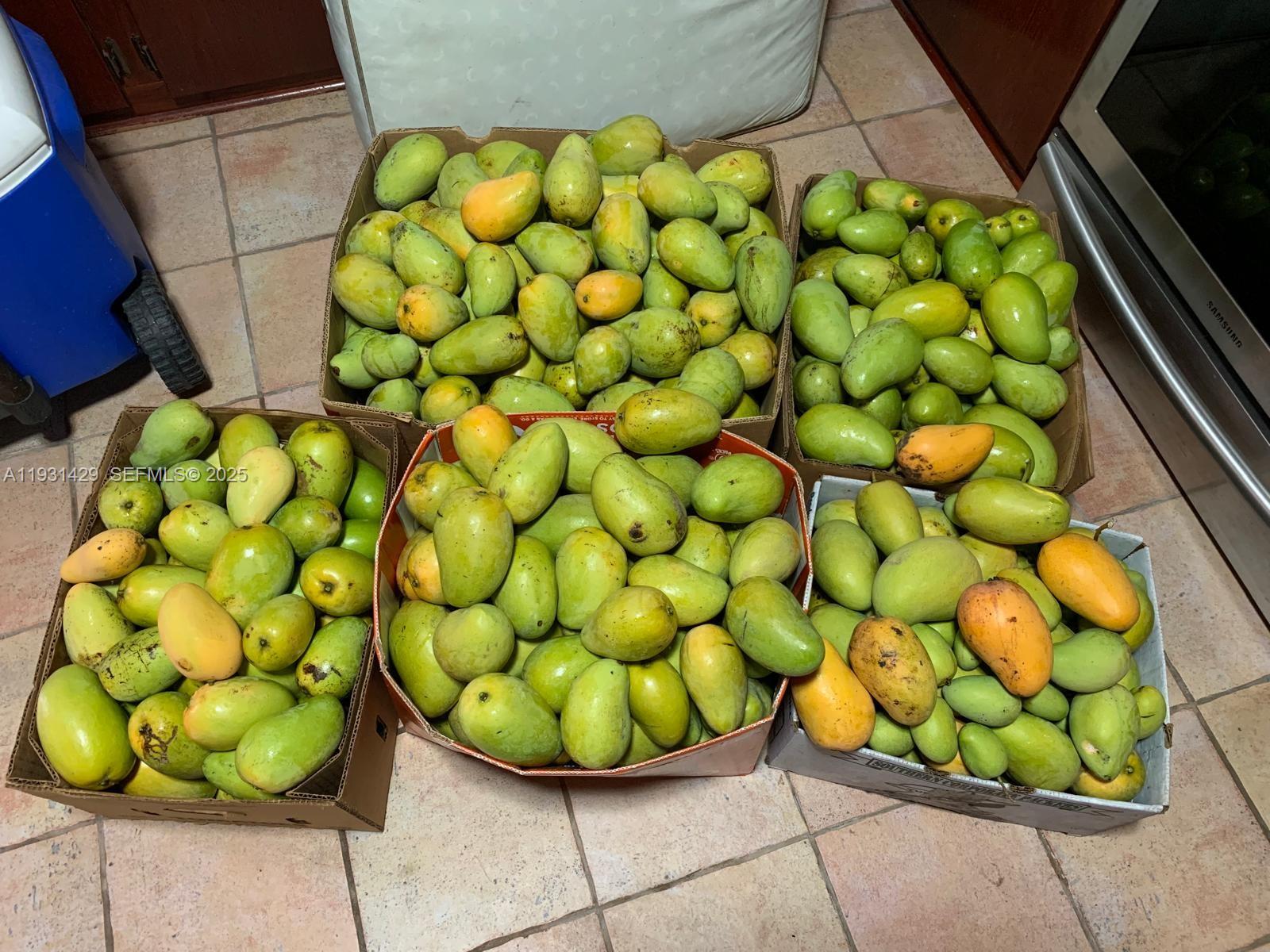 10955 Southwest 56th Street Miami, FL 33165 - Photo 28 of 39 a view of a fruit basket