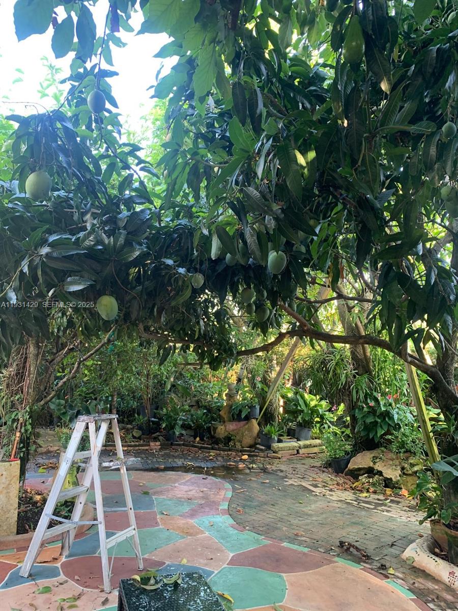 10955 Southwest 56th Street Miami, FL 33165 - Photo 33 of 39 a view of yard with large trees