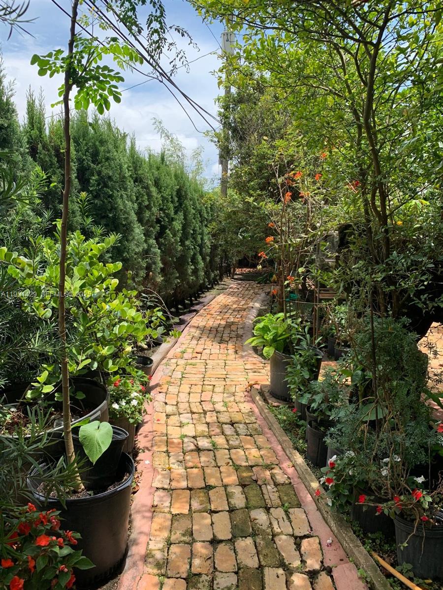 10955 Southwest 56th Street Miami, FL 33165 - Photo 36 of 39 a view of a pathway with plants