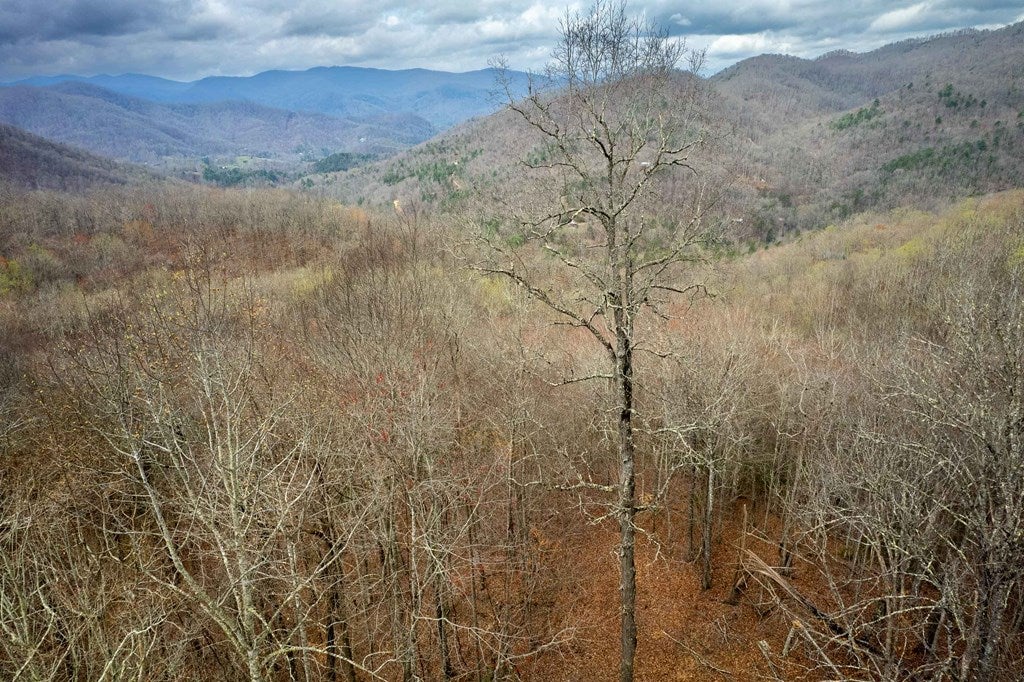 11 Stone Pillow Road Tuckasegee, NC 28783 - Photo 14 of 26 Gallery Image 14