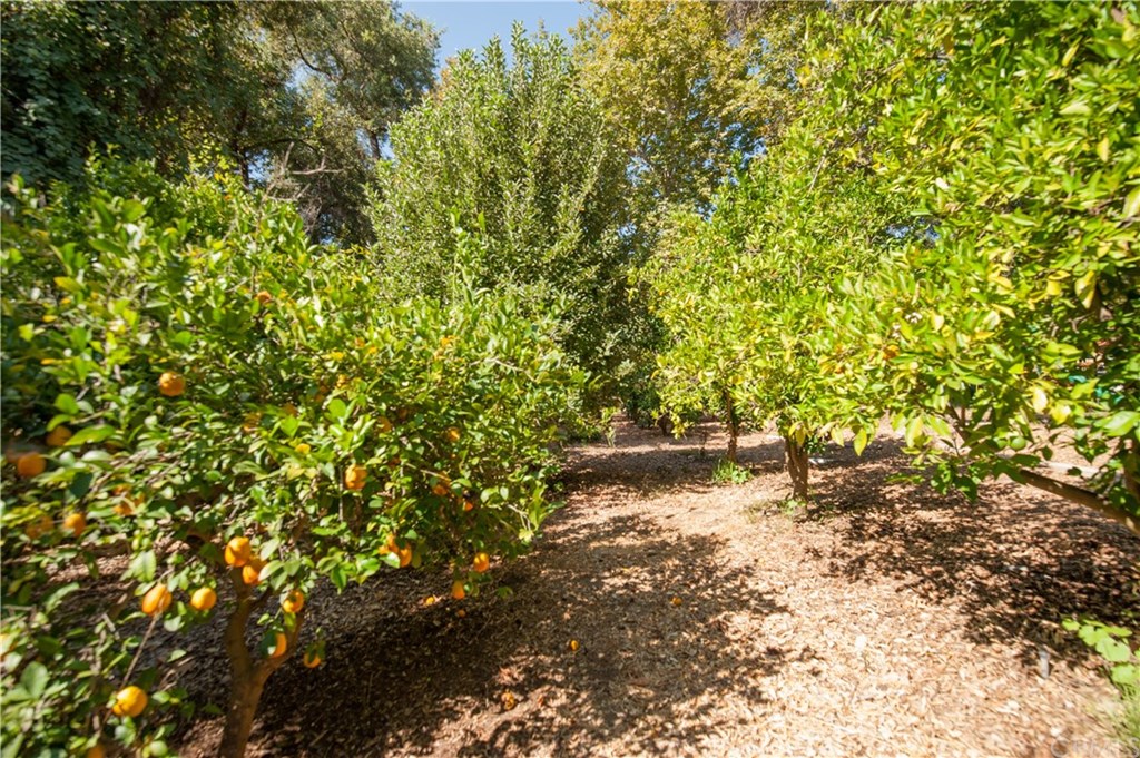 48320 De Luz Road Temecula, CA 92590 - Photo 48 of 54 Gallery Image 48