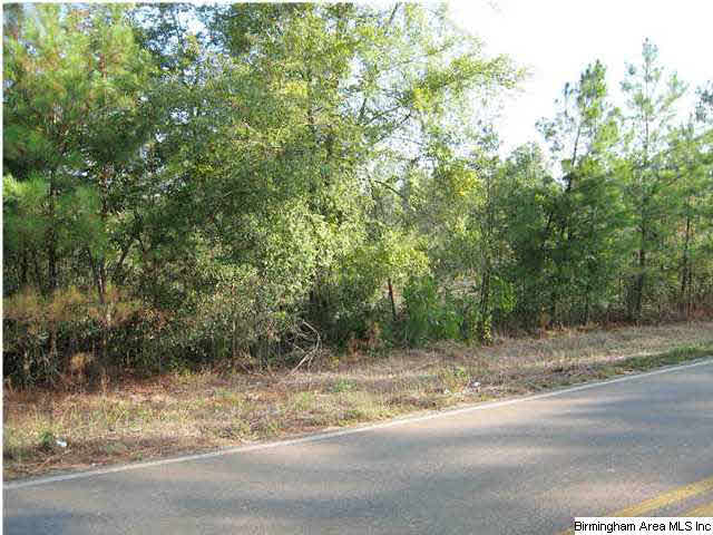 Howell Cove Road Talladega, AL 35160 - Photo 8 of 9