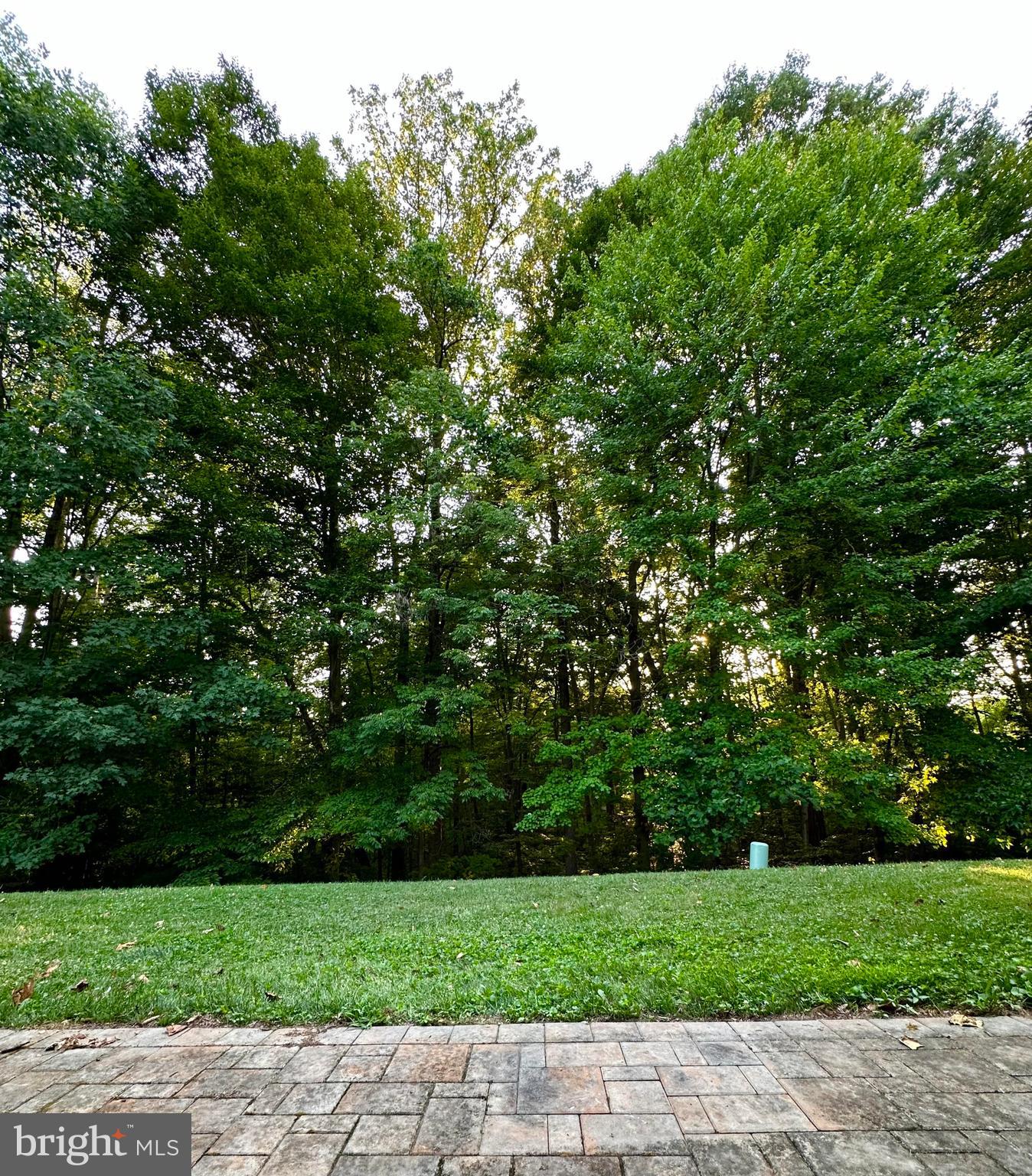 8045 Orange Plank Road Springfield, VA 22153 - Photo 5 of 8 Woodland View