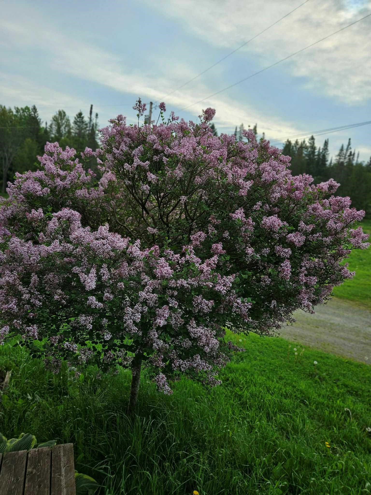 2431 Roaring Brook Road Barton, VT 05822 - Photo 48 of 51