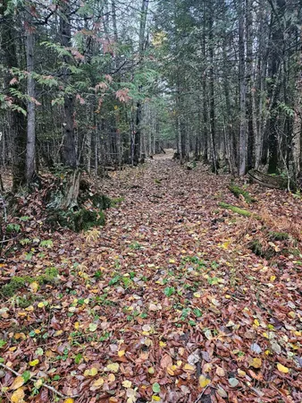 $429,000 | 2431 Roaring Brook Road, Barton, VT 05822