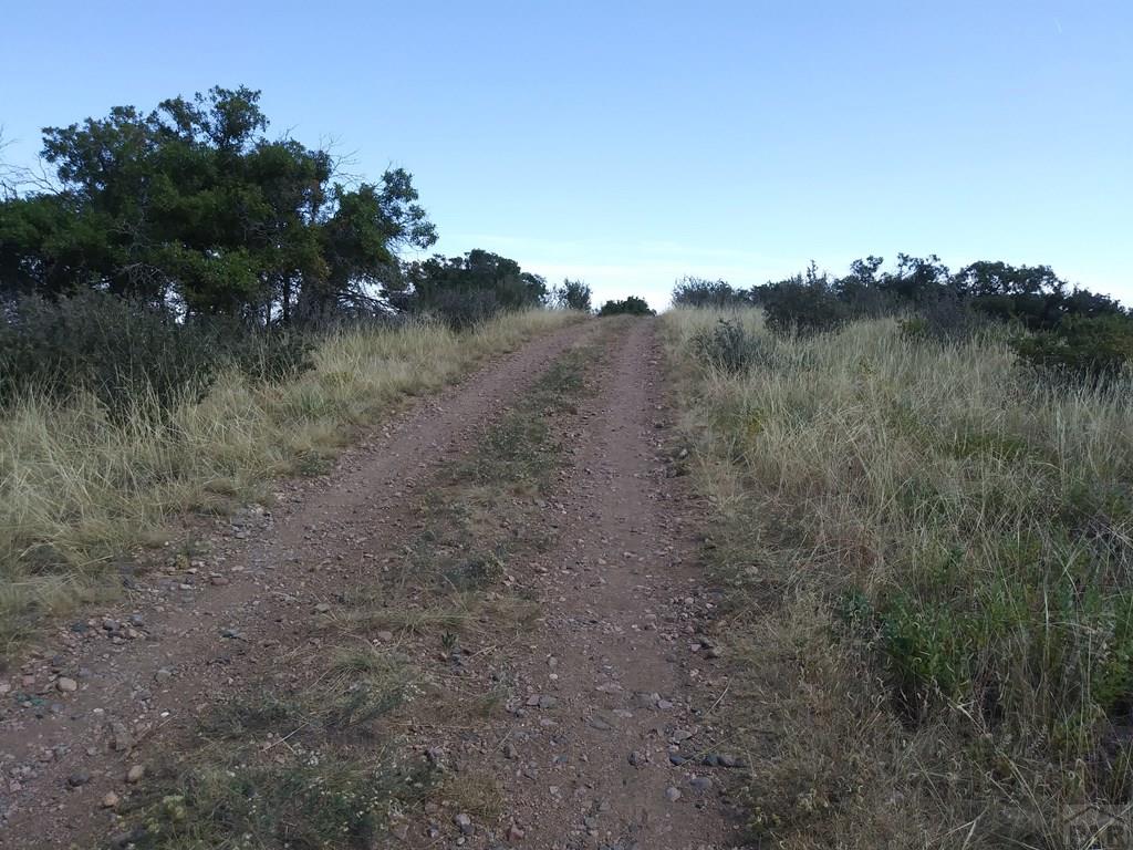 Lot 641 Fort Scott Avenue Rye, CO 81069 - Photo 3 of 6