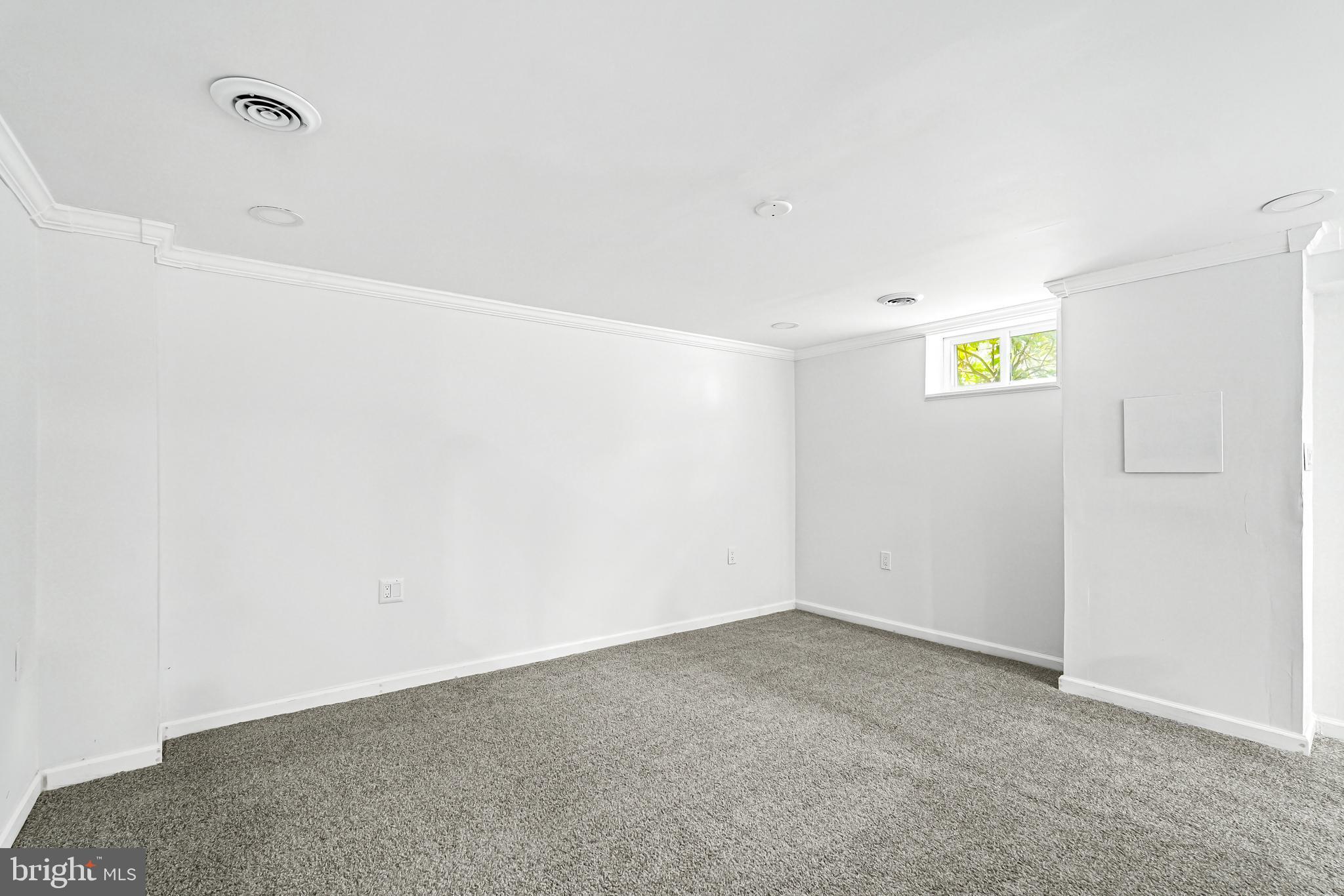 116 Ballantrae Drive Elkton, MD 21921 - Photo 34 of 61 Finished Basement/Lower level