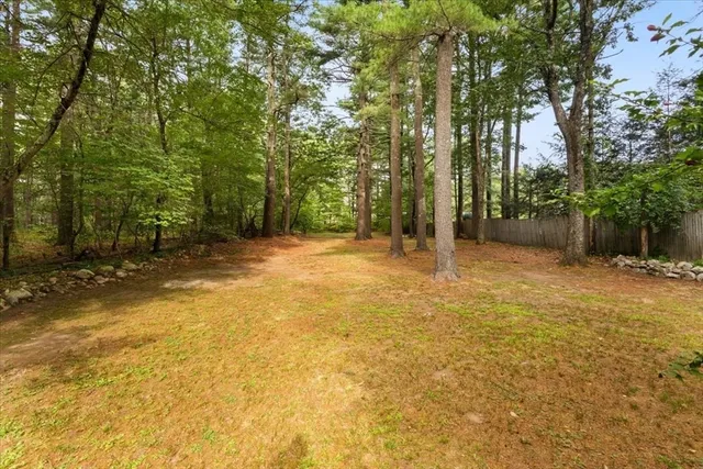 a view of outdoor space with trees all around