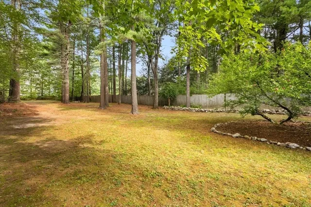 a view of a yard with trees