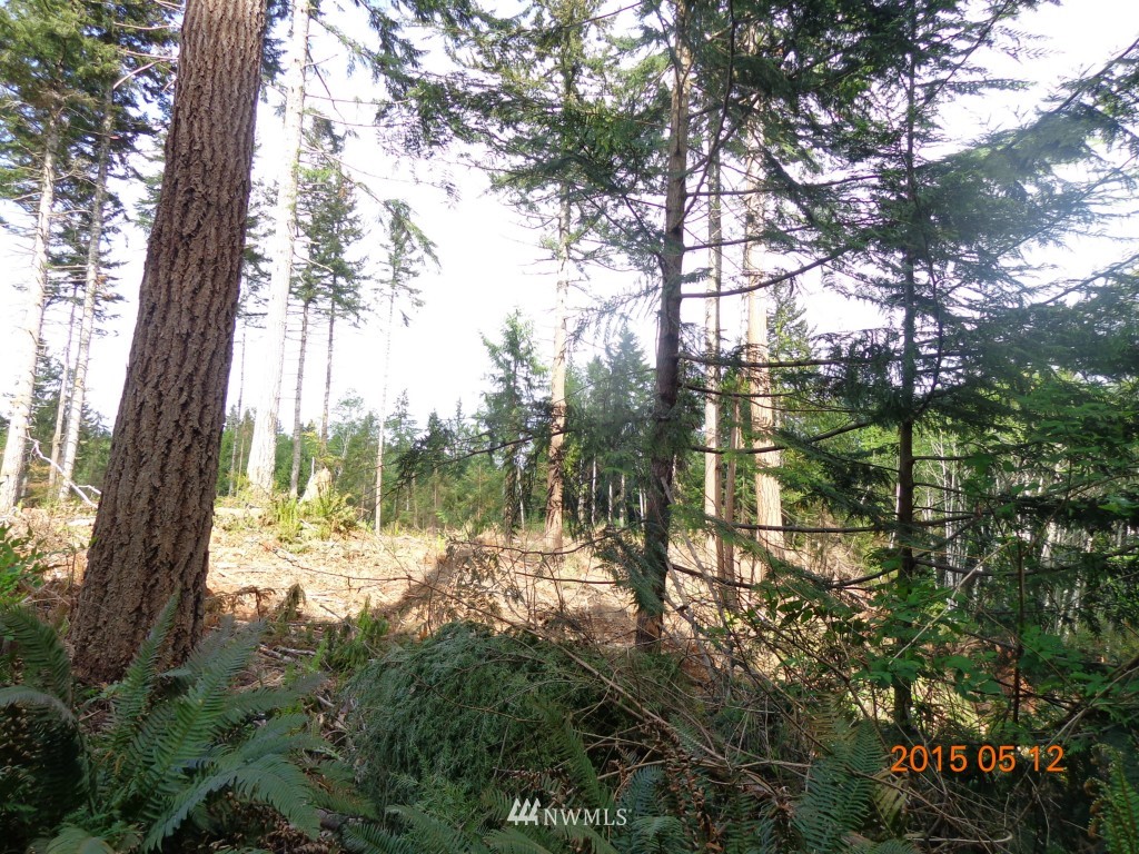992 Hazel Point Road Quilcene, WA 98376 - Photo 1 of 5 Gallery Image 1