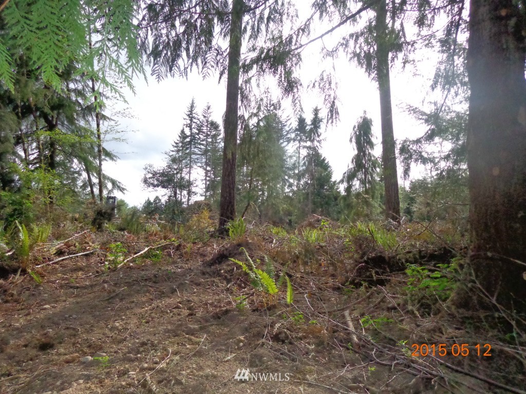 992 Hazel Point Road Quilcene, WA 98376 - Photo 2 of 5 Gallery Image 2
