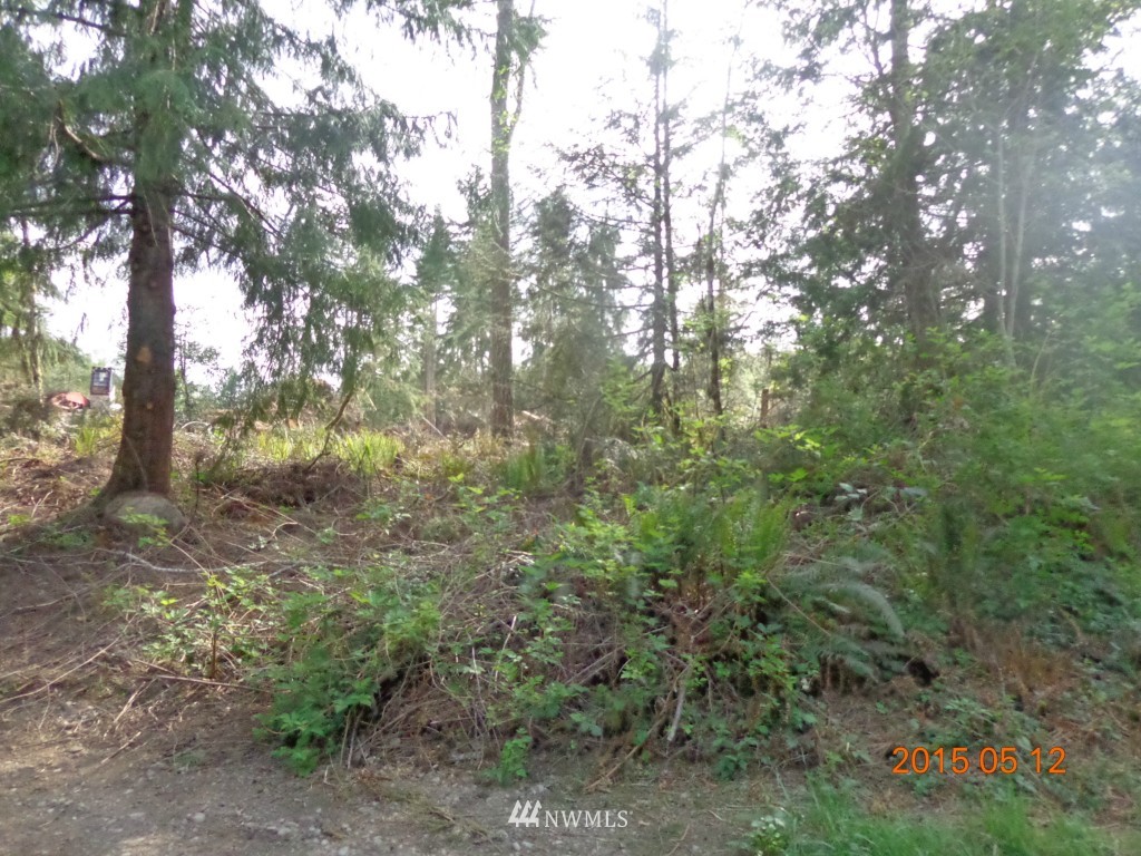 992 Hazel Point Road Quilcene, WA 98376 - Photo 3 of 5 Gallery Image 3