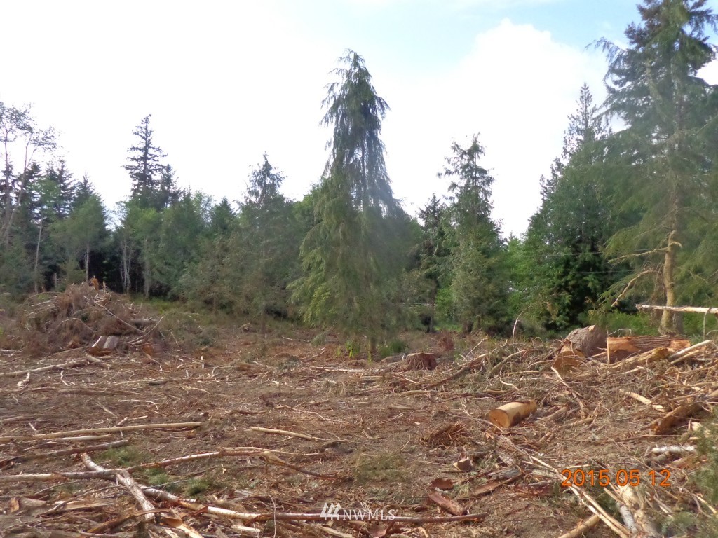 992 Hazel Point Road Quilcene, WA 98376 - Photo 4 of 5 Gallery Image 4