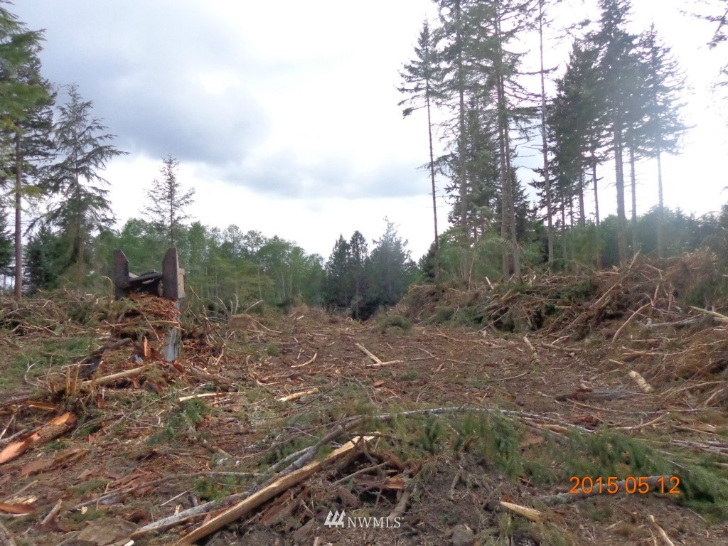 992 Hazel Point Road Quilcene, WA 98376 - Photo 5 of 5 Gallery Image 5