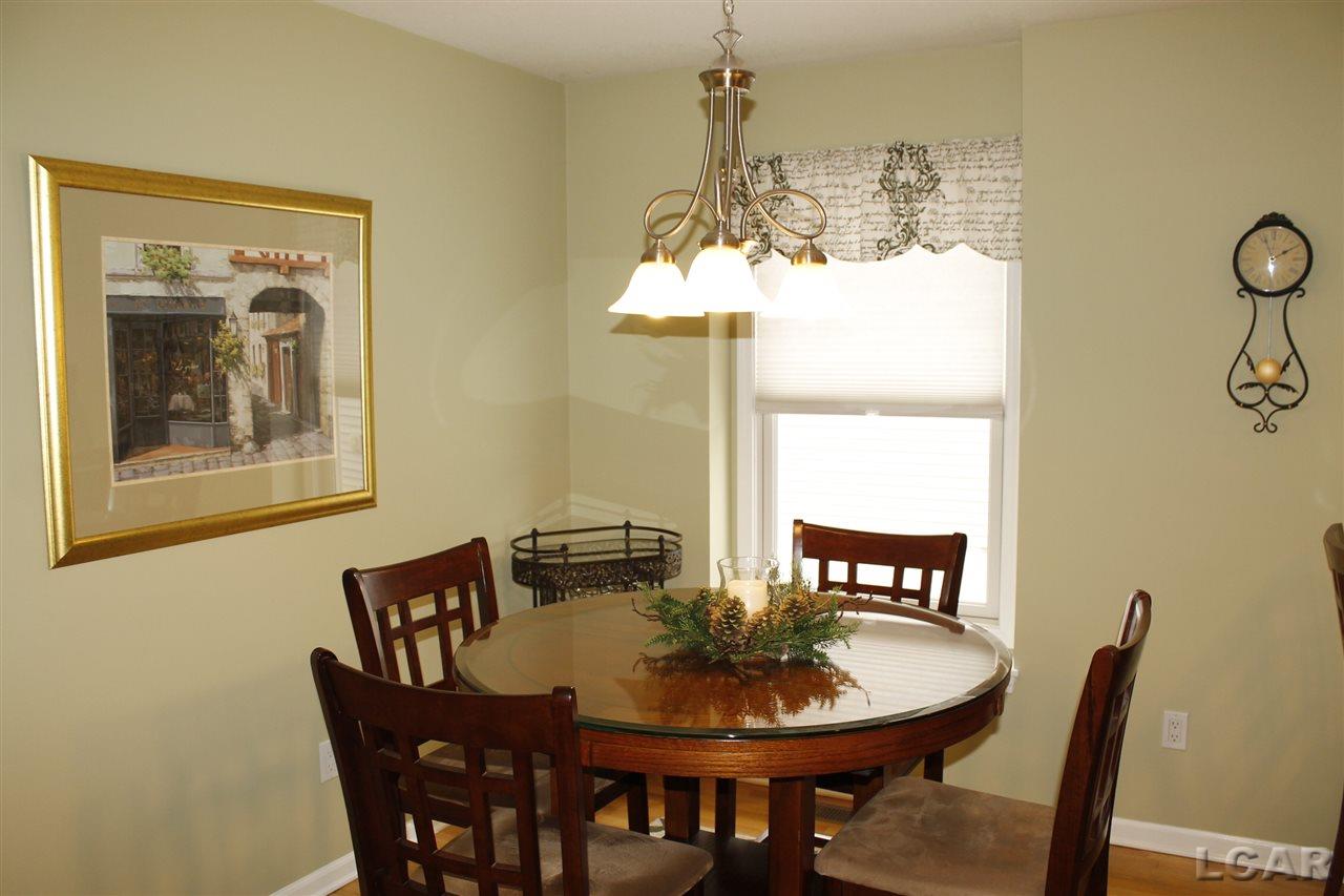 588 Ridge Lane, Unit 45 Tecumseh, MI 49286 - Photo 10 of 29