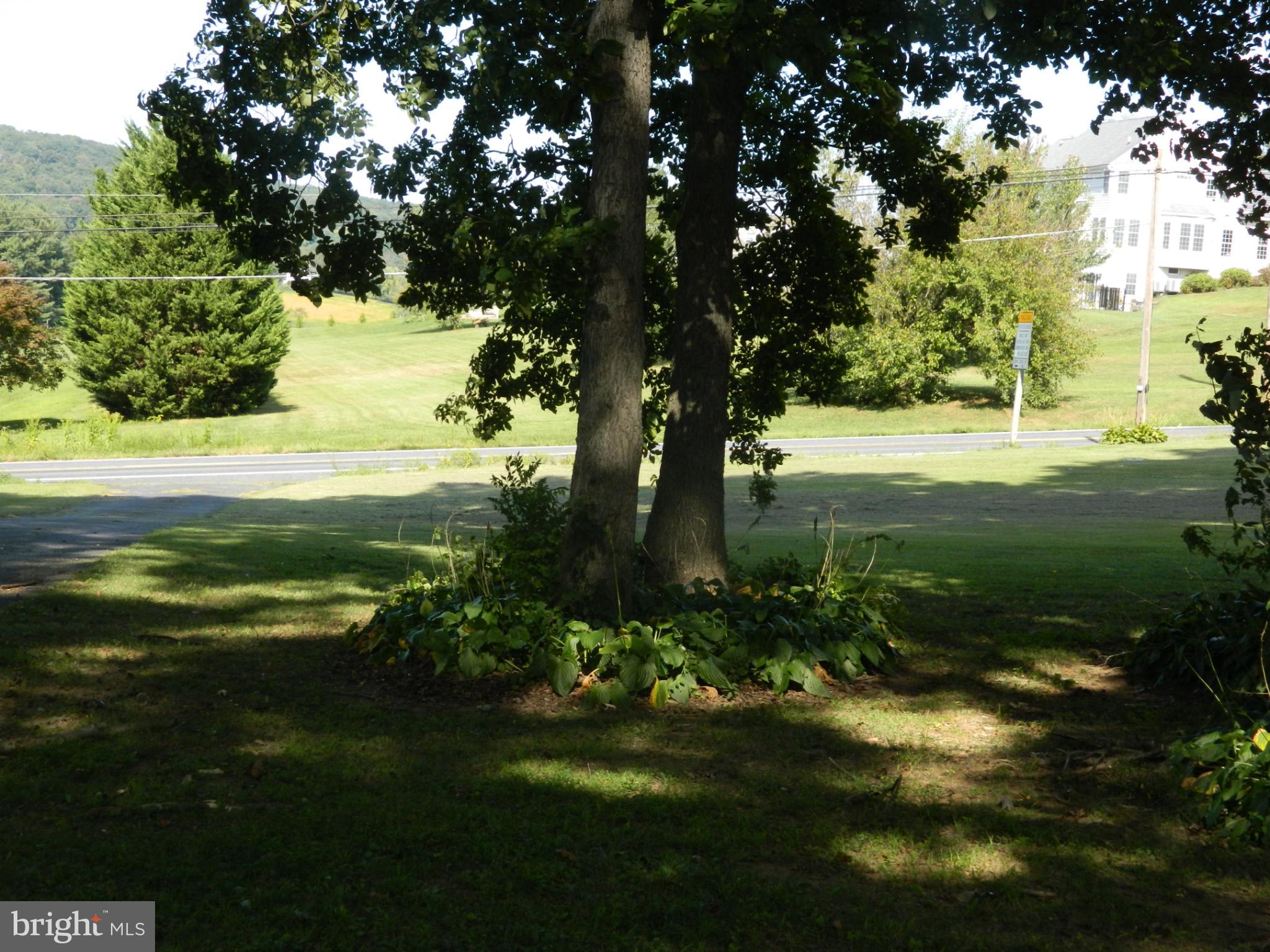 3910 Ady Road Pylesville, MD 21132 - Photo 7 of 24 Serene shade beneath towering trees.