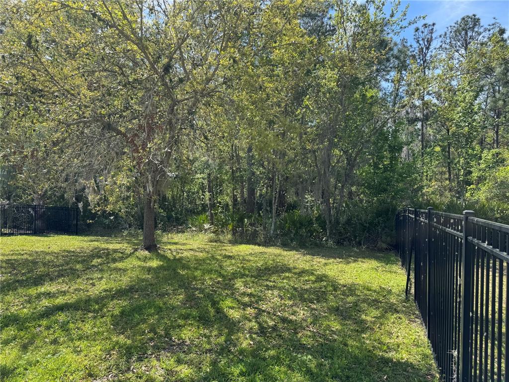 8237 Dunham Station Drive Tampa, FL 33647 - Photo 26 of 33