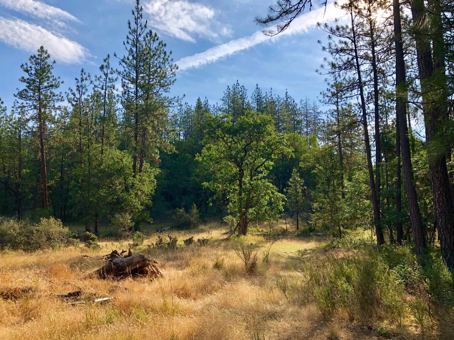 1601 Old Ferry Road Shady Cove, OR 97539 - Photo 4 of 10 Additional Photo