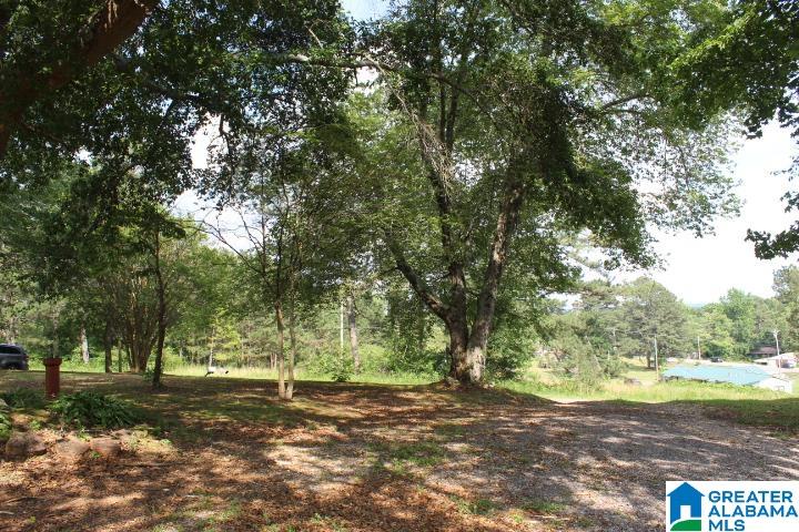 125 Highland Street Addison, AL 35540 - Photo 29 of 32