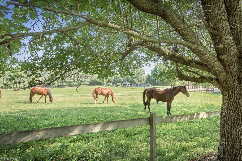 2914 Oak Ridge Road Oak Ridge, NC 27310 - Photo 13 of 30