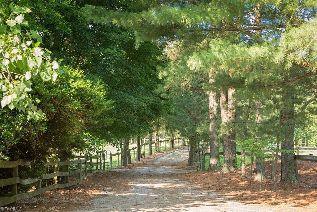 2914 Oak Ridge Road Oak Ridge, NC 27310 - Photo 10 of 30