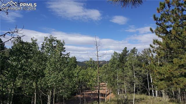 1003 Princess Road Cripple Creek, CO 80813 - Photo 1 of 2 Gallery Image 1