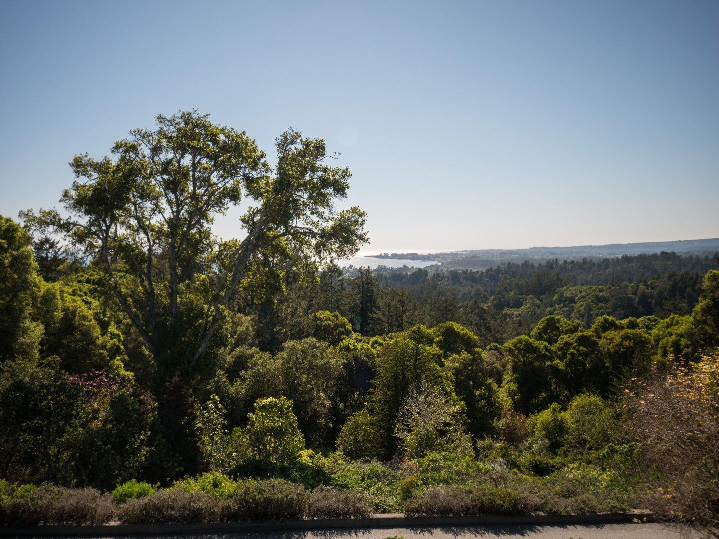 631 Quail Run Road Aptos, CA 95003 - Photo 39 of 39 a view of a yard with wooden fence