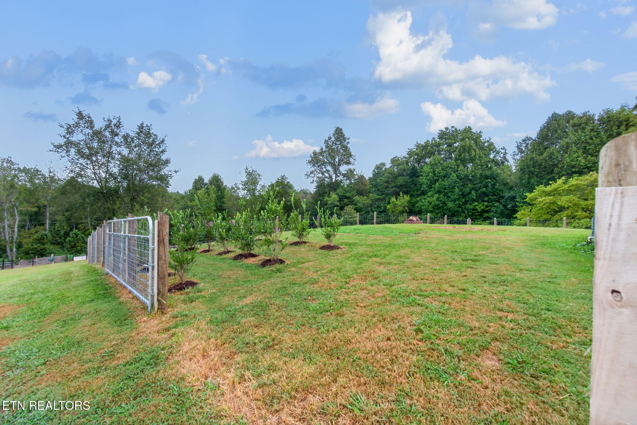 330 Finley Road Crossville, TN 38571 - Photo 36 of 40 36-web-or-mls-330 Finley Rd_32