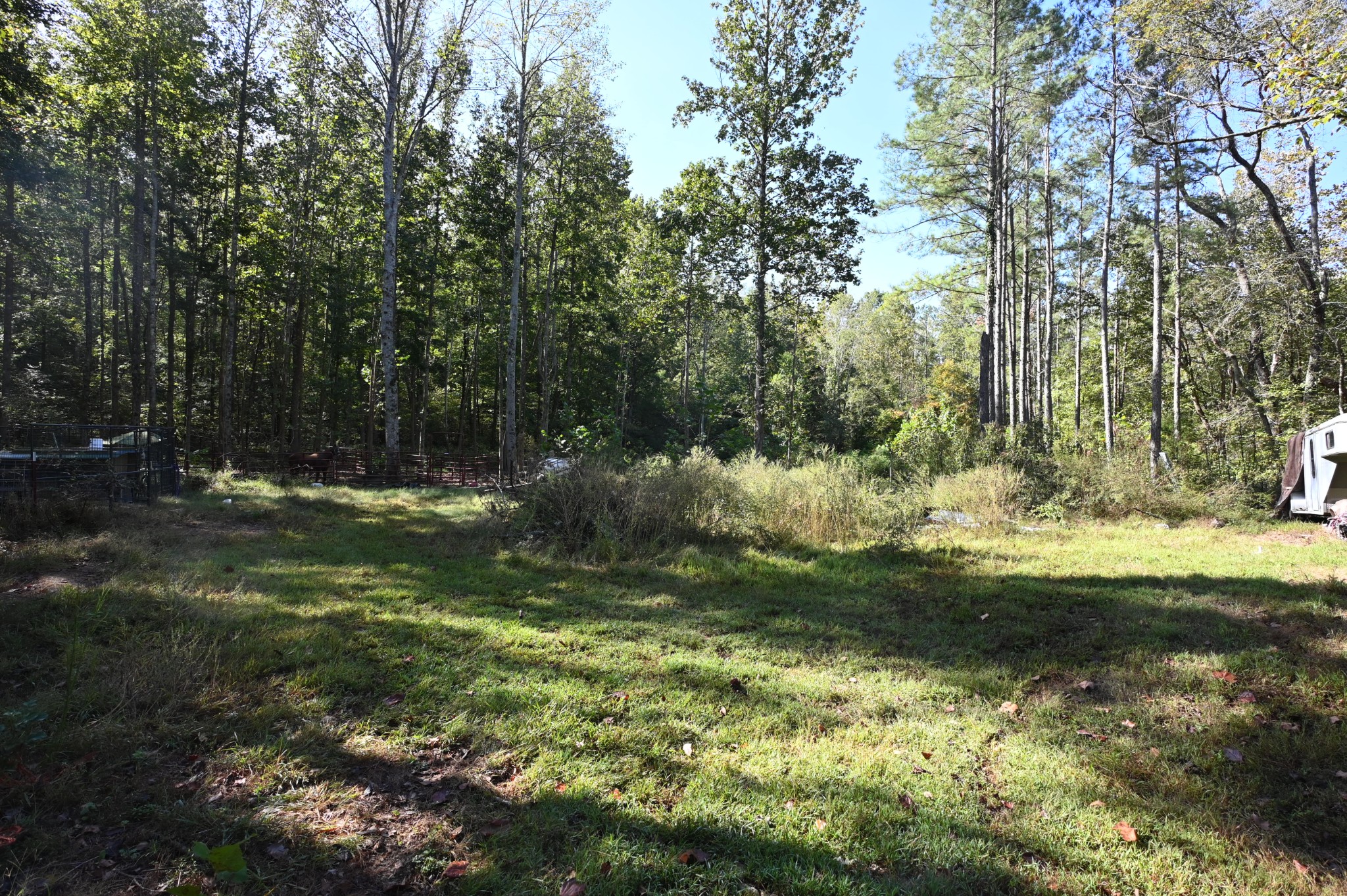 1395 Treadwell Prong Road Linden, TN 37096 - Photo 17 of 22 Gallery Image 17