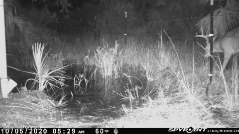 4885 Corey Road Grant Valkaria, FL 32950 - Photo 8 of 9