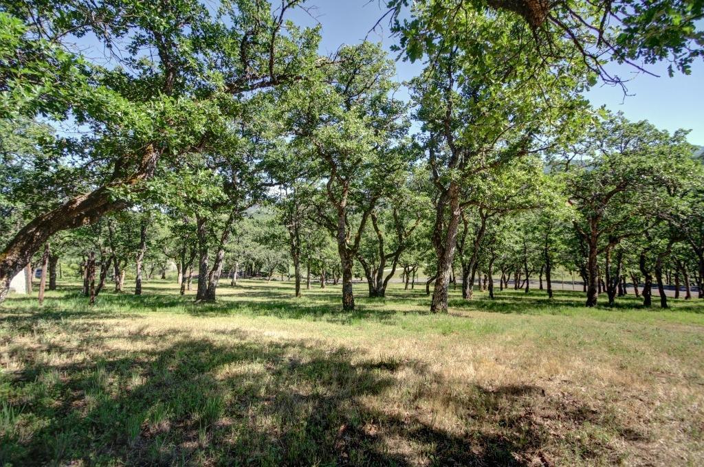 4690 Pioneer Road Medford, OR 97501 - Photo 35 of 35 Additional Photo