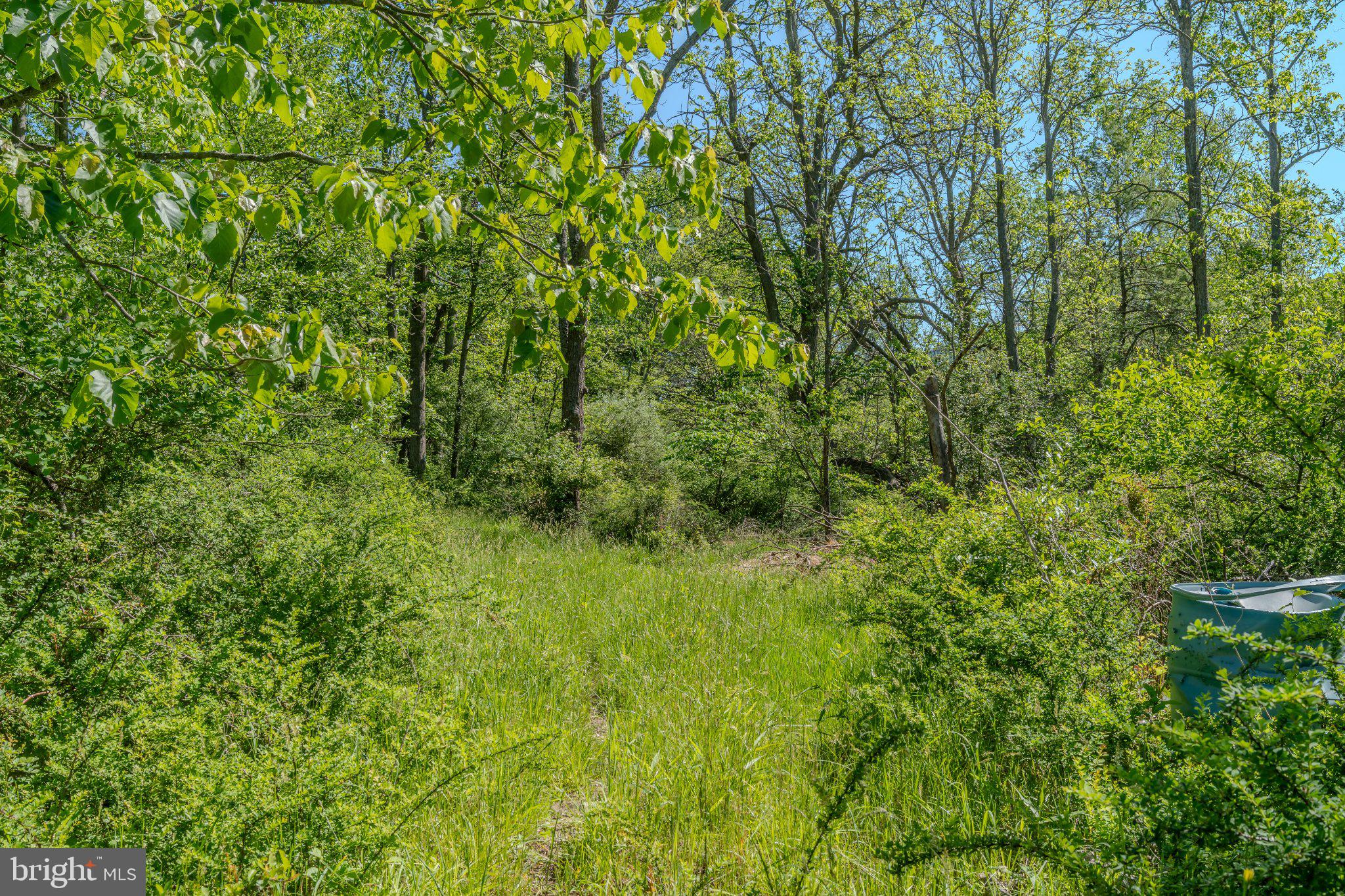 4503 Scotch Valley Road Hollidaysburg, PA 16648 - Photo 39 of 85 a view of a lush green space