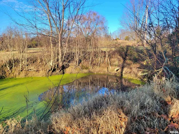 $230,000 | 42 County Line Road, Grand Chain, IL 62941