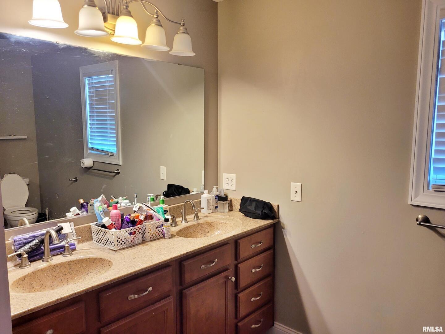 42 County Line Road Grand Chain, IL 62941 - Photo 24 of 40 a bathroom with a sink vanity and a mirror
