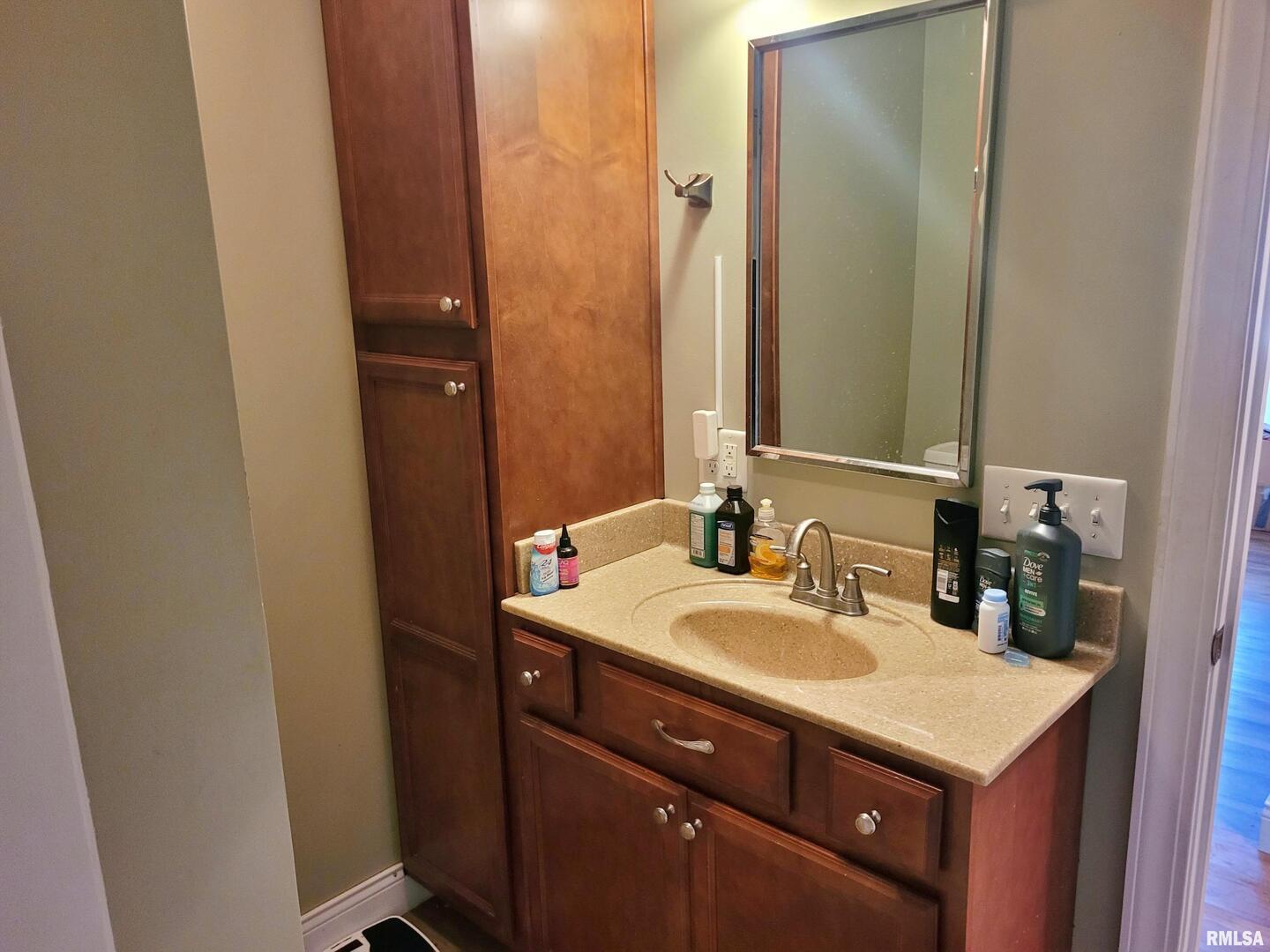 42 County Line Road Grand Chain, IL 62941 - Photo 29 of 40 a bathroom with a sink and a mirror