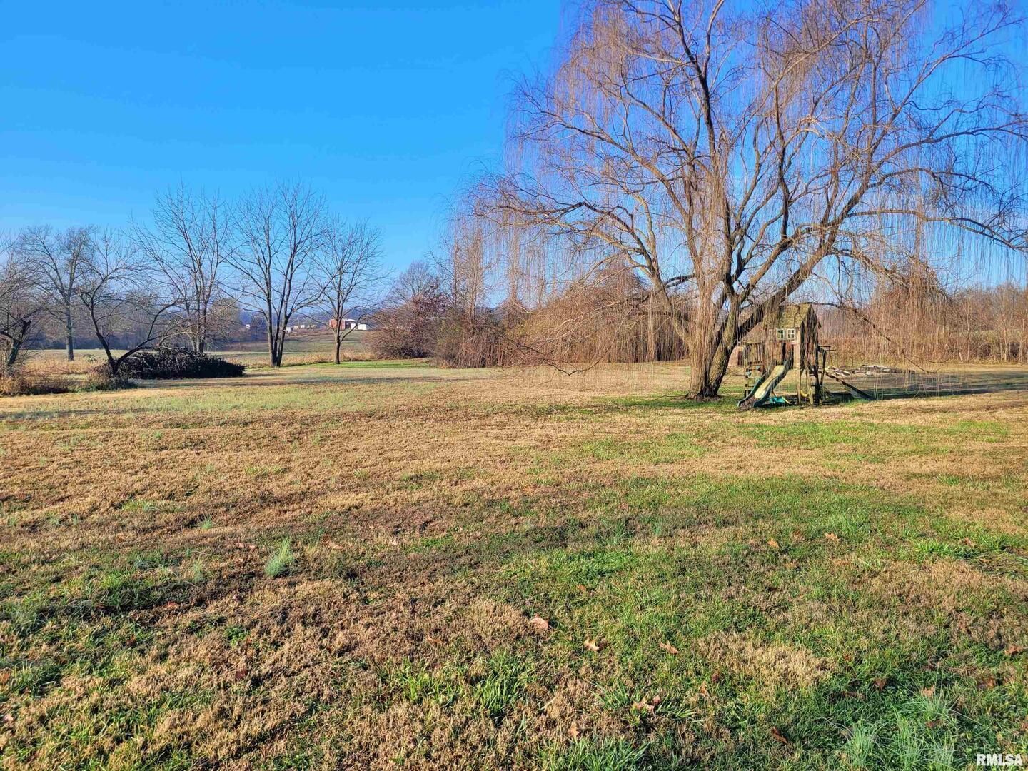 42 County Line Road Grand Chain, IL 62941 - Photo 10 of 40 a view of a field with an trees