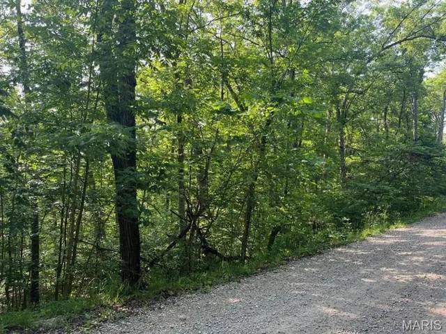 $8,000 | 112 Rocky Ridge, New Florence, MO 63363