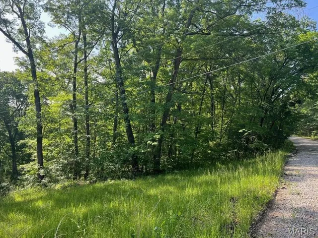 $8,000 | 112 Rocky Ridge, New Florence, MO 63363