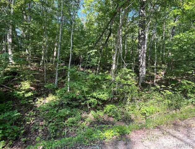 $8,000 | 112 Rocky Ridge, New Florence, MO 63363