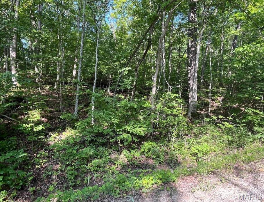 112 Rocky Ridge New Florence, MO 63363 - Photo 3 of 8