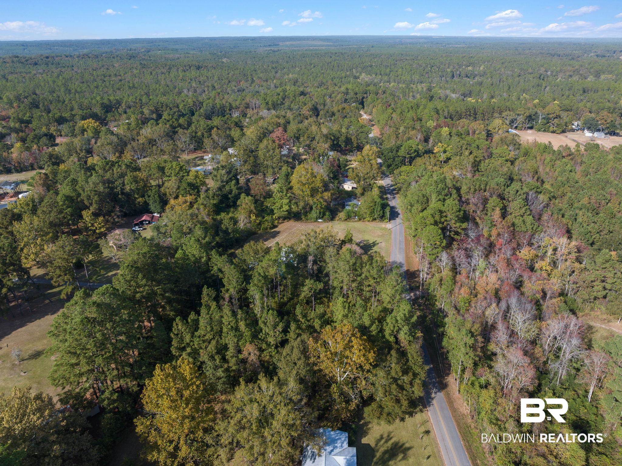 35741 Pine Road North Stapleton, AL 36578 - Photo 7 of 11