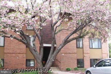 12 Cross Keys Road, Unit 12A Baltimore, MD 21210 - Photo 1 of 21 Exterior (Main)