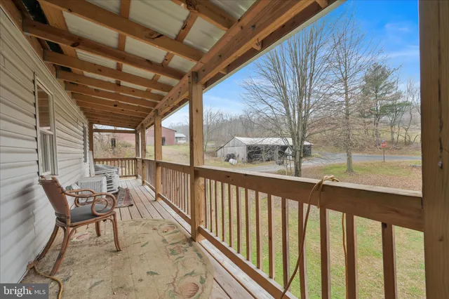 a view of a backyard with potted plants and a large tree