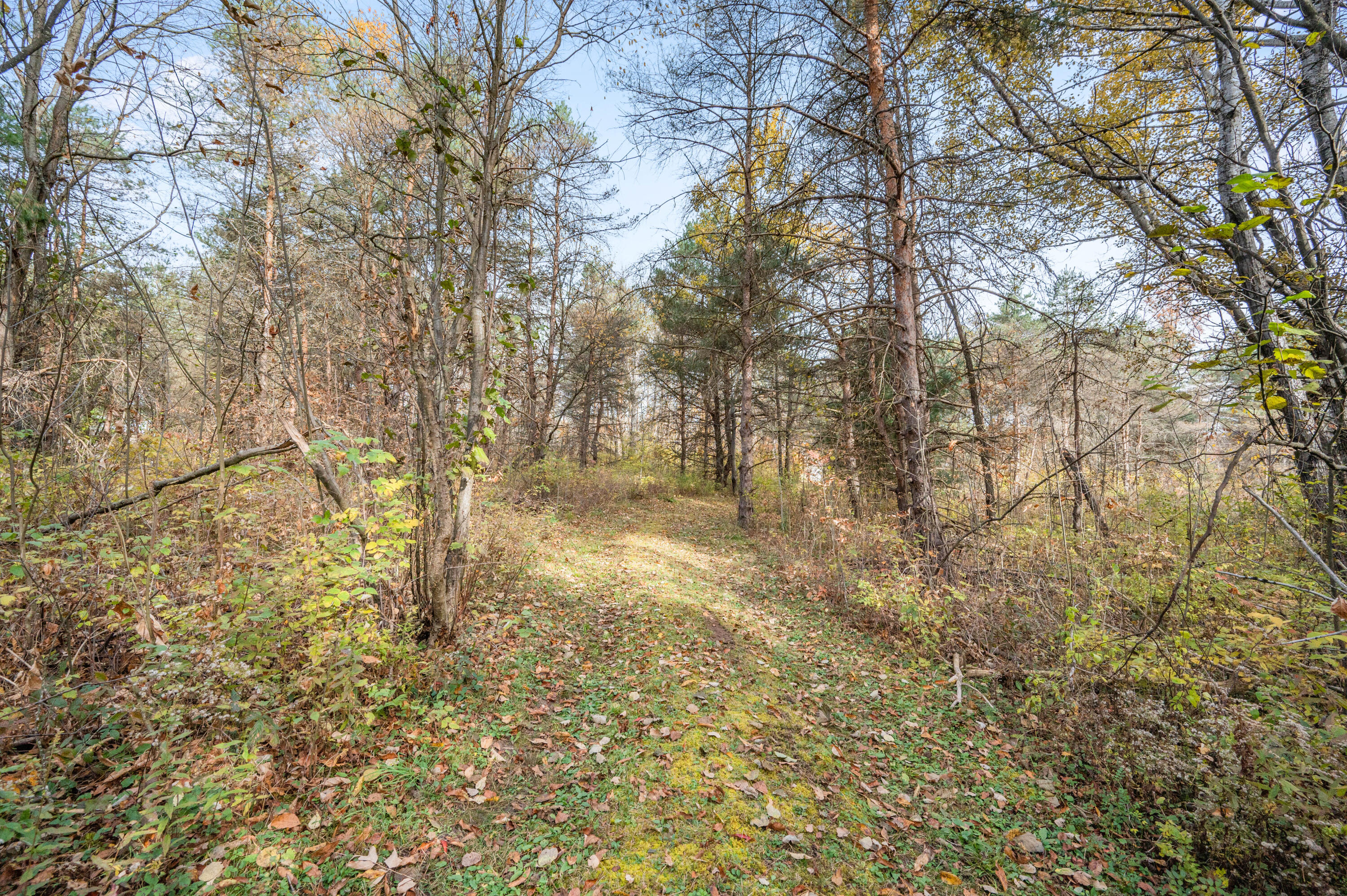 18 18 Mile Road Leroy, MI 49655 - Photo 14 of 14 VL-18MileRd-LeRoy-14