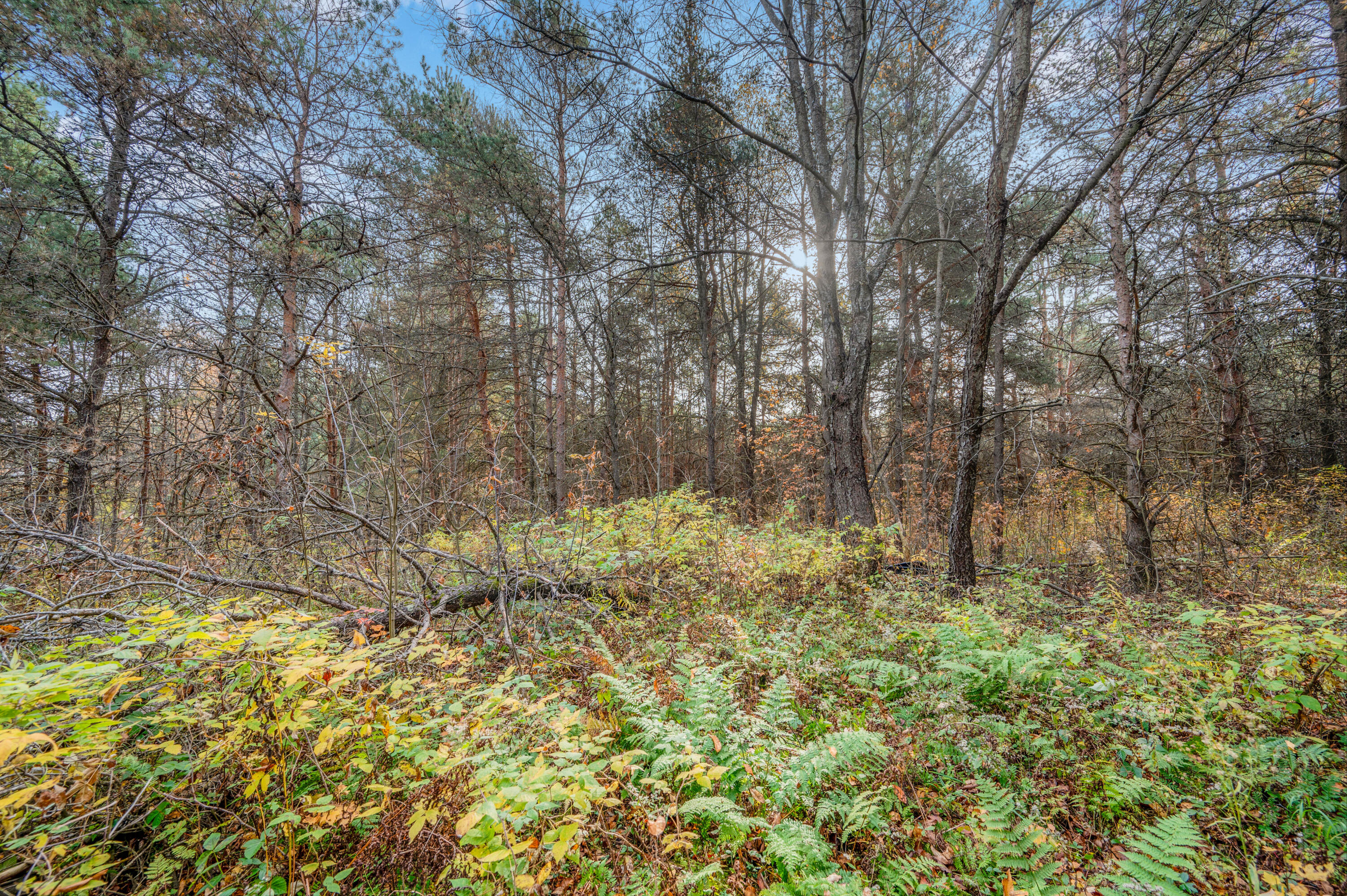 18 18 Mile Road Leroy, MI 49655 - Photo 6 of 14 VL-18MileRd-LeRoy-6
