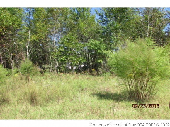 3158 Cameron Hill Road Cameron, NC 28326 - Photo 5 of 10 Gallery Image 5