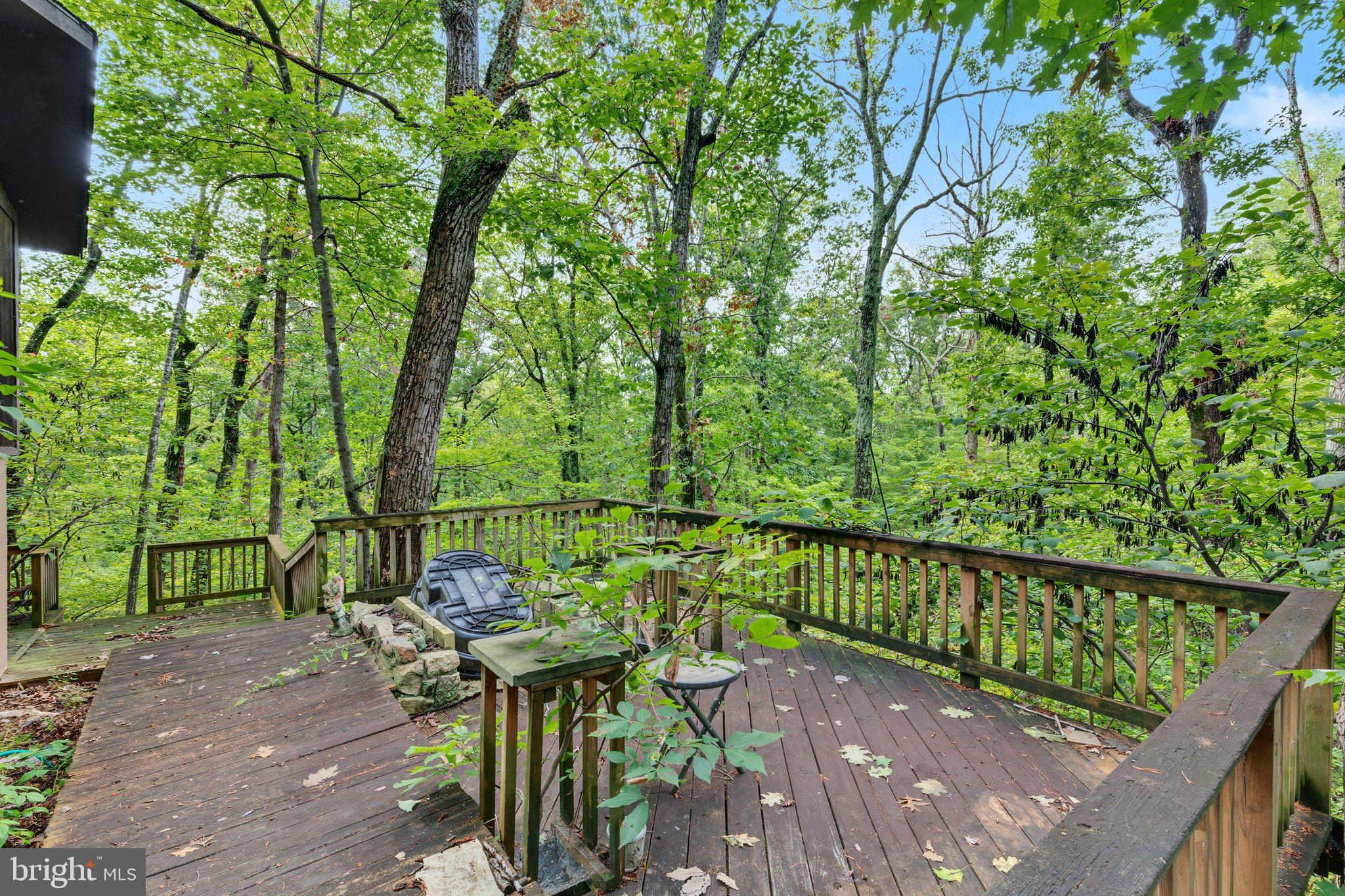 1272 Shipwreck Road Shenandoah, VA 22849 - Photo 23 of 37 BY1A2711-ABSALT-SEPT2026 18