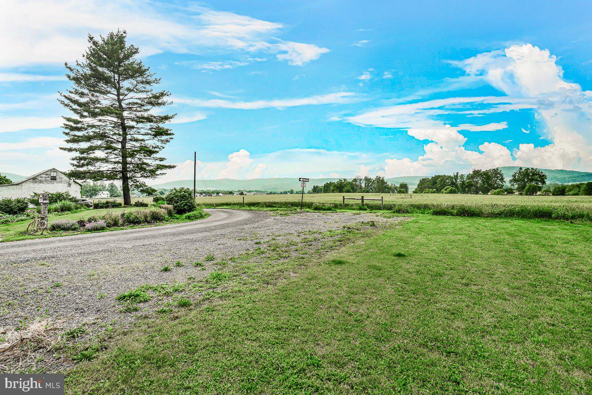 201 East Main Street Fairfield, PA 17320 - Photo 40 of 44 a view of a big yard with plants and a large tree