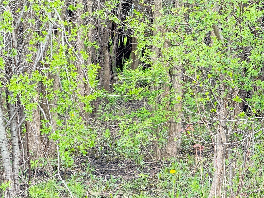 0 Klocks Corners Road Oswego, NY 13126 - Photo 12 of 20